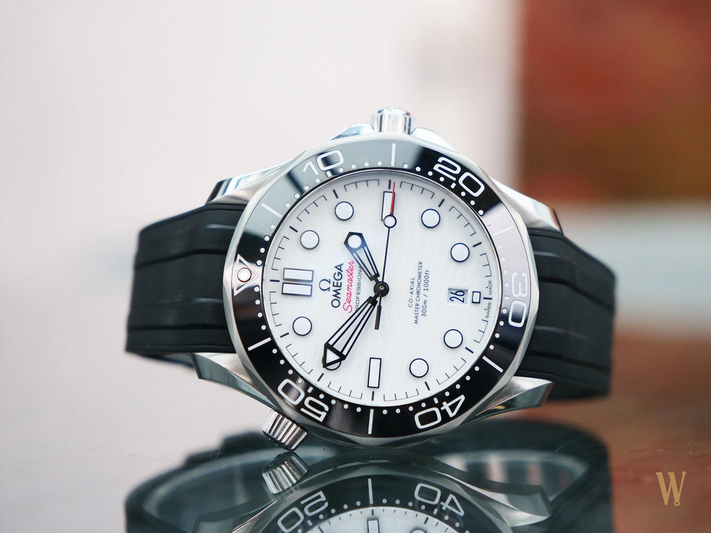 Omega Seamaster Diver 300m Polar Dial