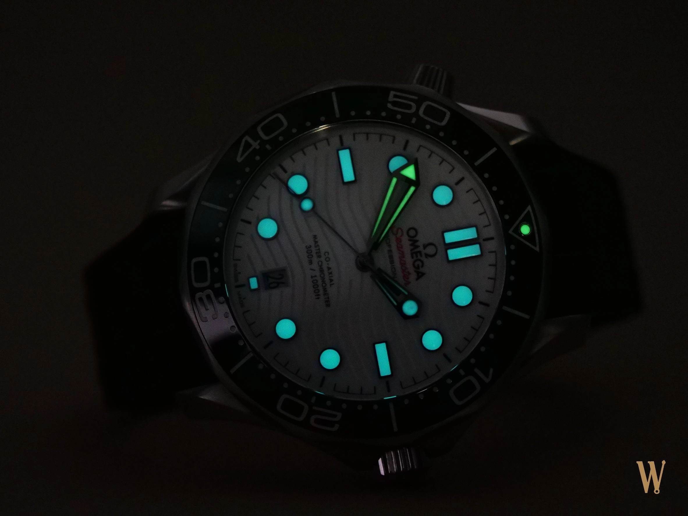 Omega Seamaster Diver 300m Polar Dial