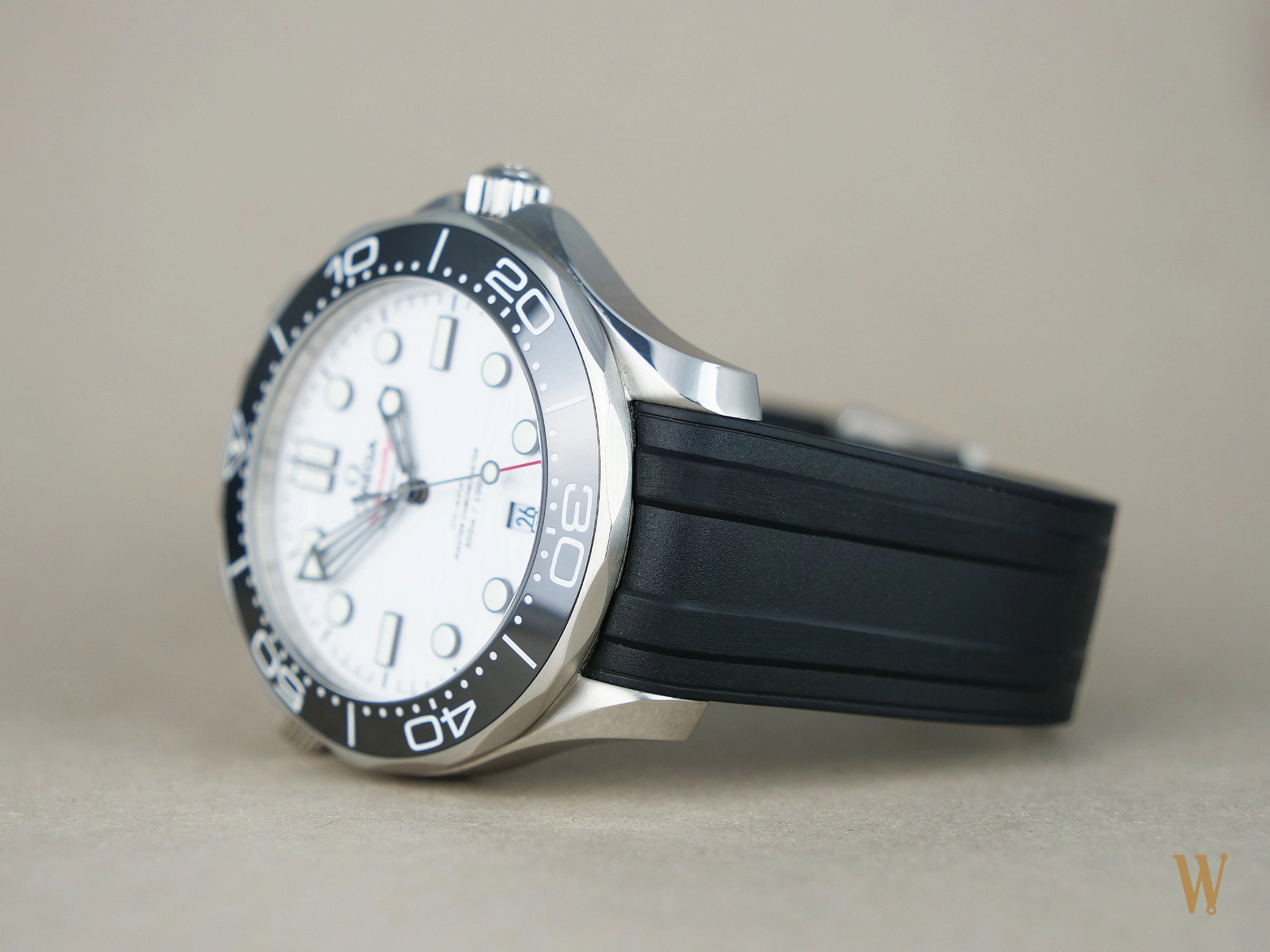 Omega Seamaster Diver 300m Polar Dial