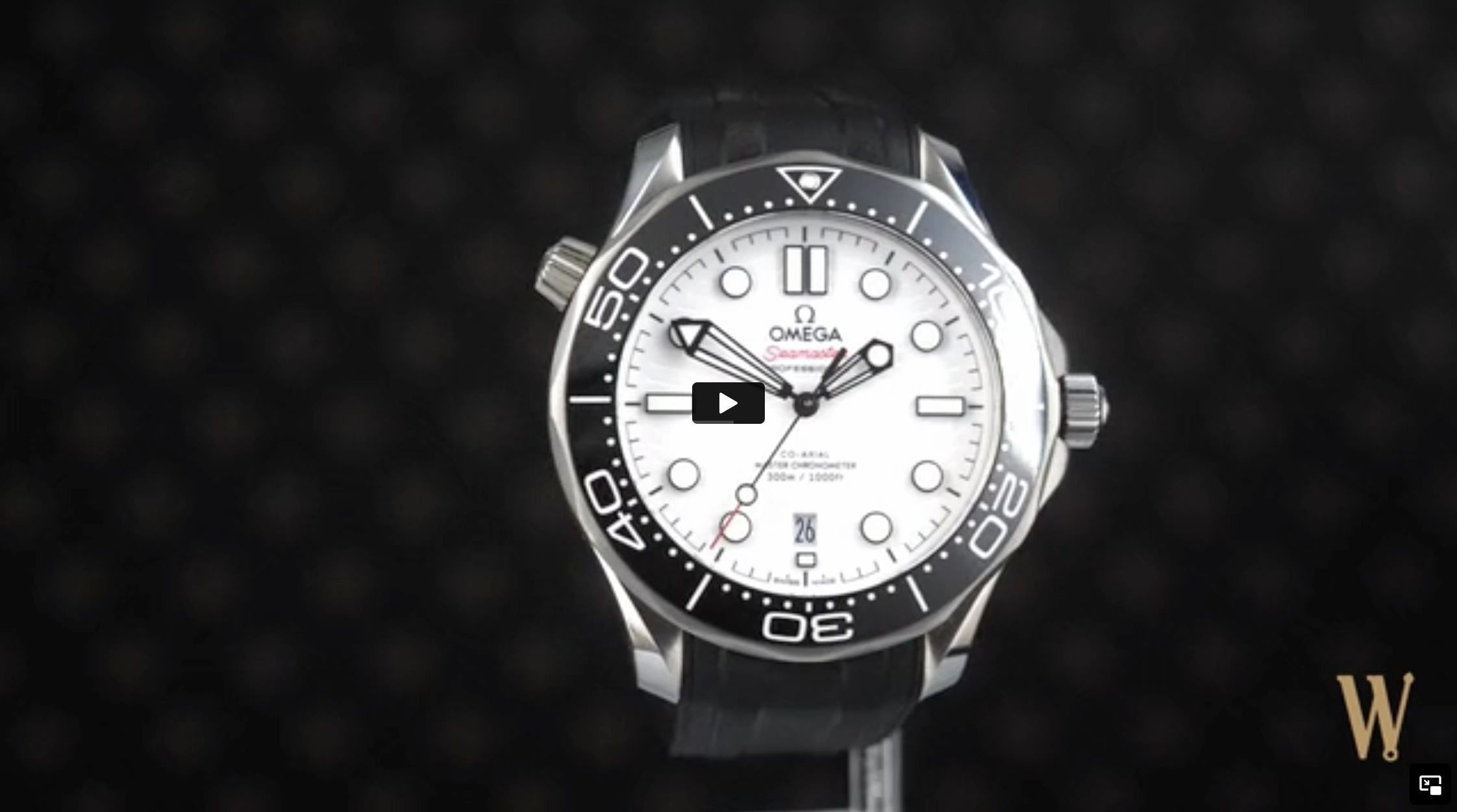 Omega Seamaster Diver 300m Polar Dial