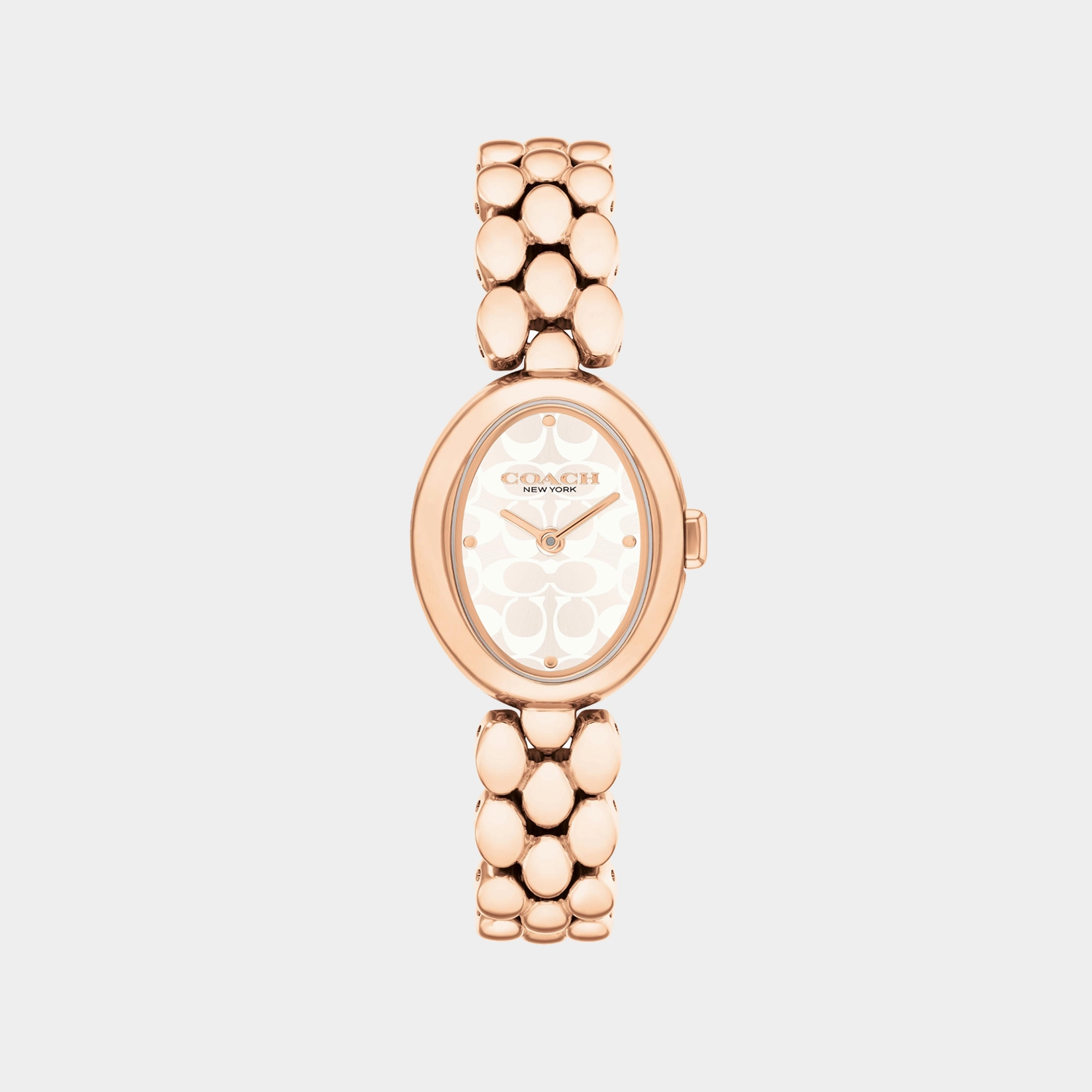 Sammy Women Quartz Silver Dial Stainless Steel Watch 14504437