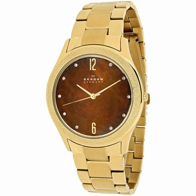 Skagen Women's Watch - Classic Brown Mother of Pearl Dial Bracelet | SKW2108