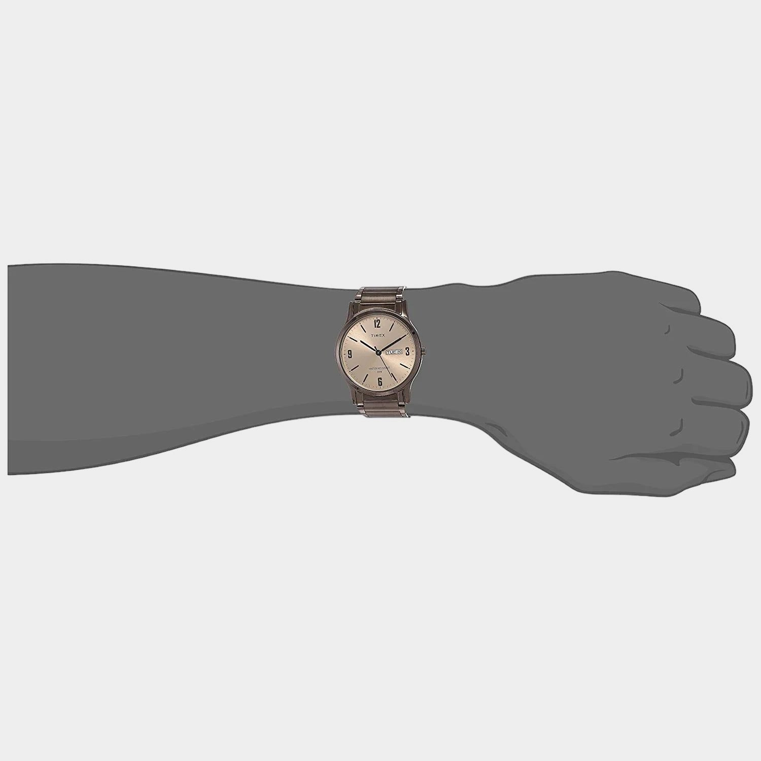 Unisex Beige Analog Stainless Steel Watch TW00PR265