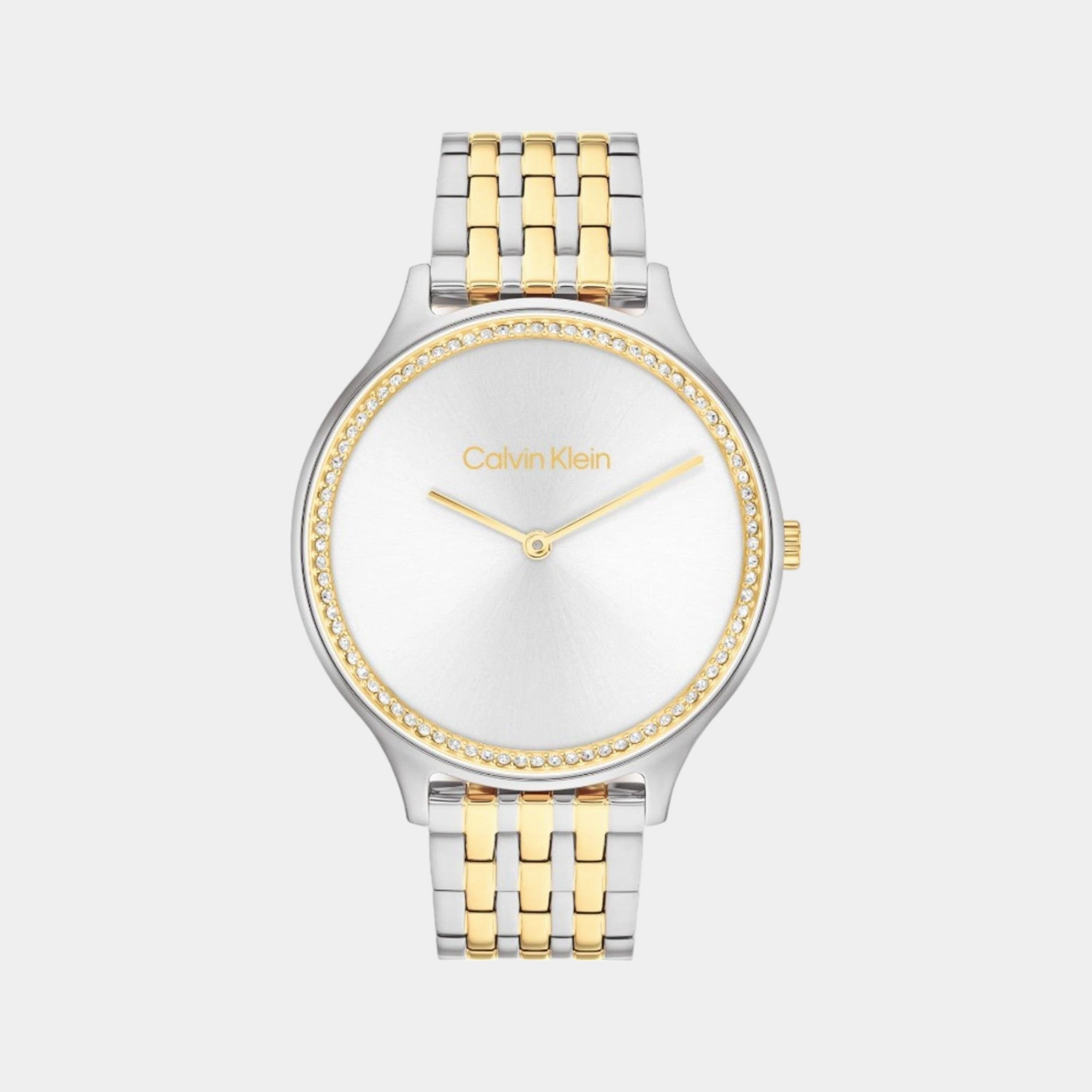 Women Quartz Analog Silver Dial Stainless Steel Watch 25100002