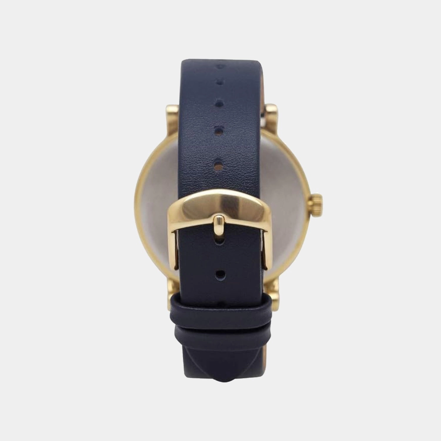 Women Quartz Blue Dial Analog Leather Watch TW2R98100