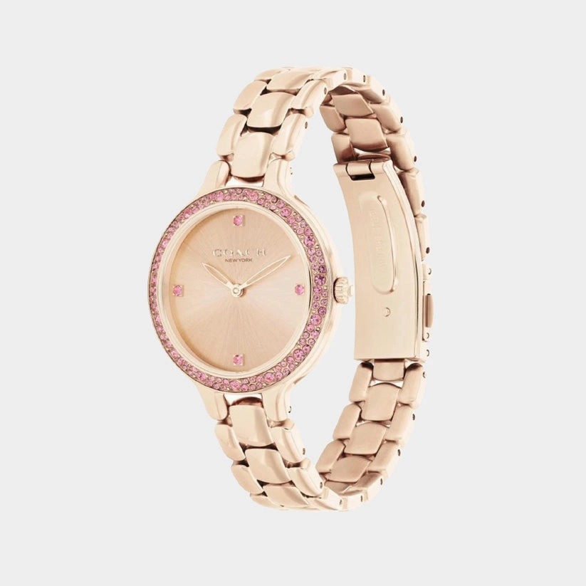 Women Quartz Carnation Gold Dial Analog Stainless Steel Watch 14504126