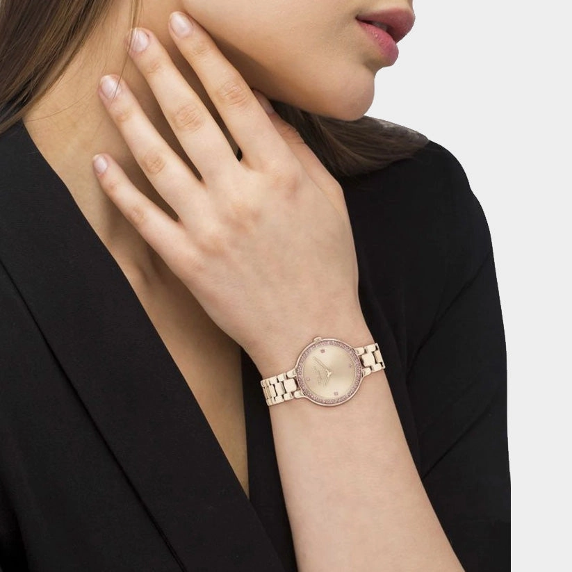 Women Quartz Carnation Gold Dial Analog Stainless Steel Watch 14504126