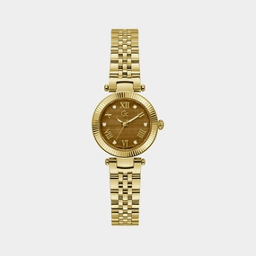 Women's Brown Dial Analog Stainless Steel Watch Z02005L4MF